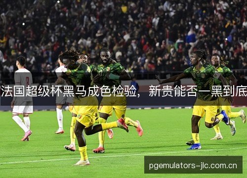 法国超级杯黑马成色检验,新贵能否一黑到底 法国超级杯黑马成色检验,新贵能否一黑到底
