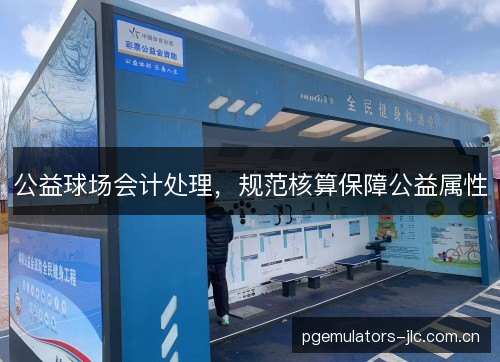 公益球场会计处理，规范核算保障公益属性